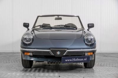 1989 Alfa Romeo Spider