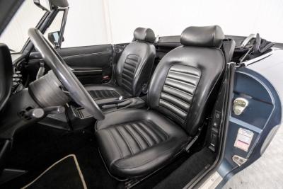 1989 Alfa Romeo Spider