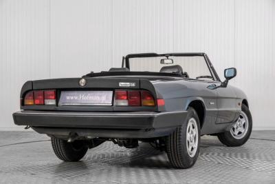 1989 Alfa Romeo Spider