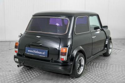 1993 Mini Mini