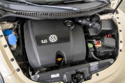 2004 Volkswagen New Beetle