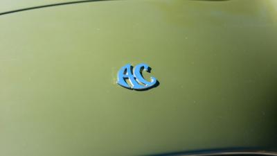 2000 E.R.A Slabside Cobra Recreation