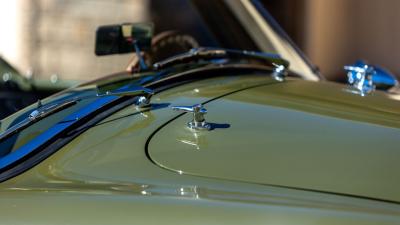 2000 E.R.A Slabside Cobra Recreation