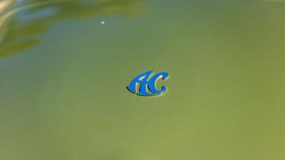 2000 E.R.A Slabside Cobra Recreation