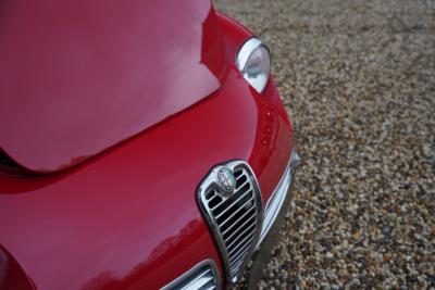 1961 Alfa Romeo Giulietta SZ