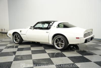 1981 Pontiac Firebird Trans Am SE