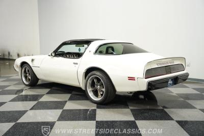 1981 Pontiac Firebird Trans Am SE