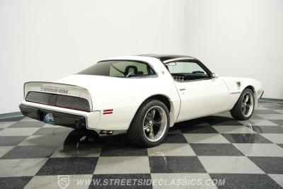 1981 Pontiac Firebird Trans Am SE