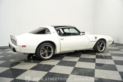 1981 Pontiac Firebird Trans Am SE