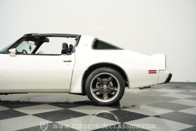 1981 Pontiac Firebird Trans Am SE