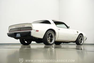 1981 Pontiac Firebird Trans Am SE