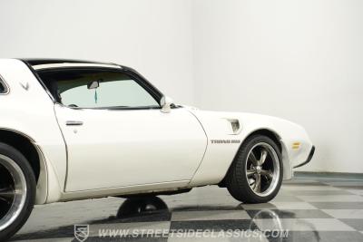 1981 Pontiac Firebird Trans Am SE