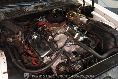 1981 Pontiac Firebird Trans Am SE