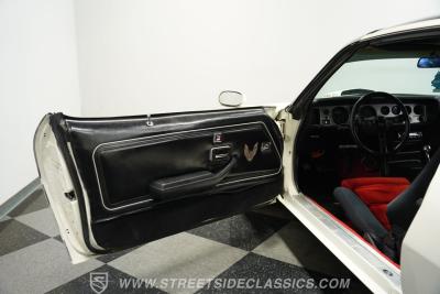 1981 Pontiac Firebird Trans Am SE