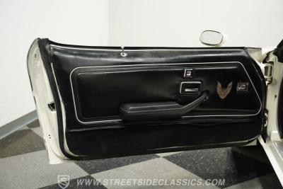 1981 Pontiac Firebird Trans Am SE