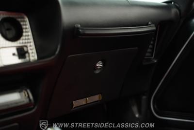 1981 Pontiac Firebird Trans Am SE