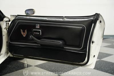 1981 Pontiac Firebird Trans Am SE