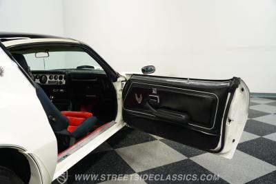 1981 Pontiac Firebird Trans Am SE