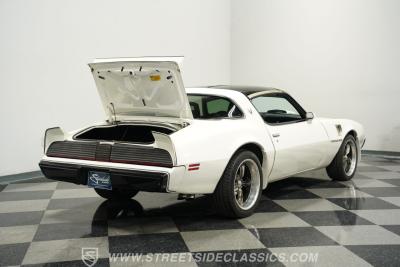 1981 Pontiac Firebird Trans Am SE