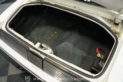 1981 Pontiac Firebird Trans Am SE