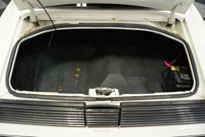 1981 Pontiac Firebird Trans Am SE