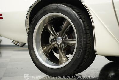 1981 Pontiac Firebird Trans Am SE