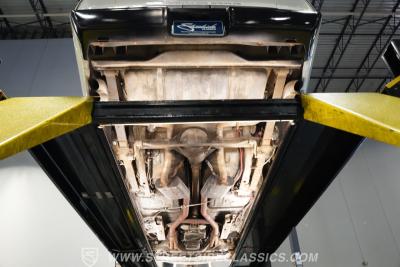 1981 Pontiac Firebird Trans Am SE