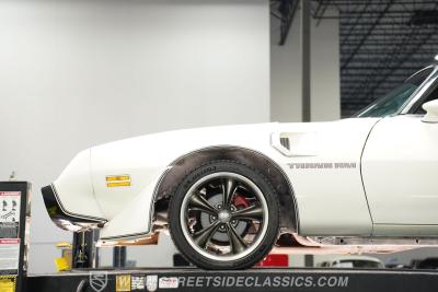 1981 Pontiac Firebird Trans Am SE