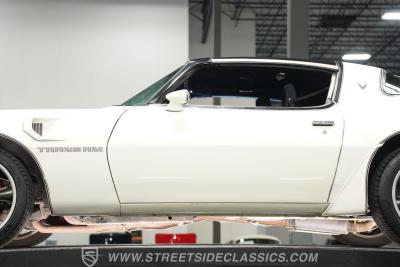 1981 Pontiac Firebird Trans Am SE