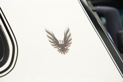 1981 Pontiac Firebird Trans Am SE