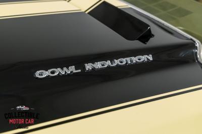 1970 Chevrolet Chevelle SS