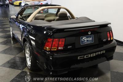 2001 Ford Mustang SVT Cobra Convertible