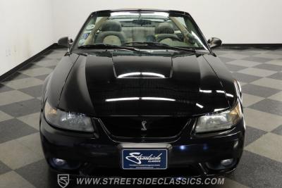 2001 Ford Mustang SVT Cobra Convertible