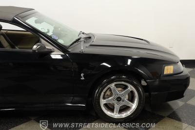 2001 Ford Mustang SVT Cobra Convertible