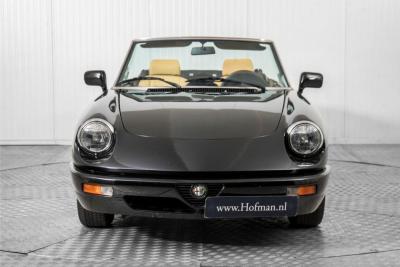 1991 Alfa Romeo Spider