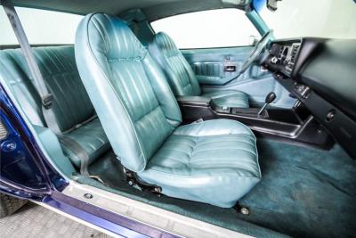 1979 Chevrolet Camaro