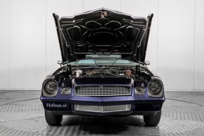 1979 Chevrolet Camaro