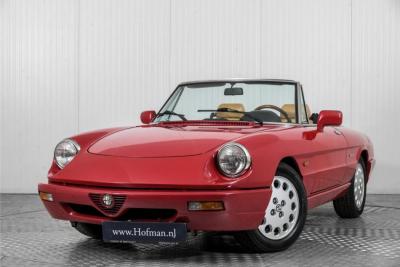 1992 Alfa Romeo Spider