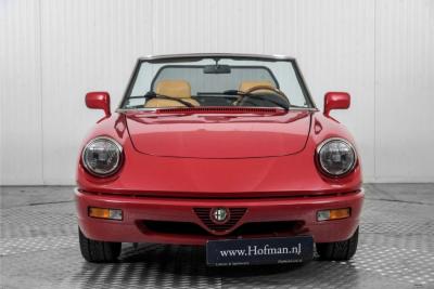 1992 Alfa Romeo Spider