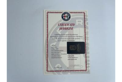 1968 Alfa Romeo Giulia 1600 S Scioneri &ldquo;Rare and unique&rdquo; (Certificato di Origine)