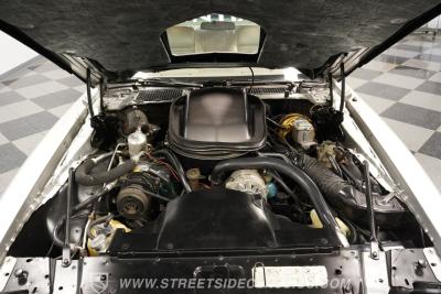 1979 Pontiac Firebird Trans Am 10th Anniversary Pace Car