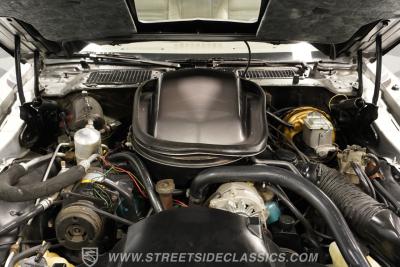 1979 Pontiac Firebird Trans Am 10th Anniversary Pace Car