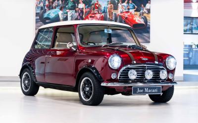 2021 David Brown Mini