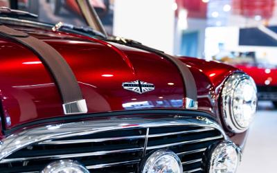 2021 David Brown Mini