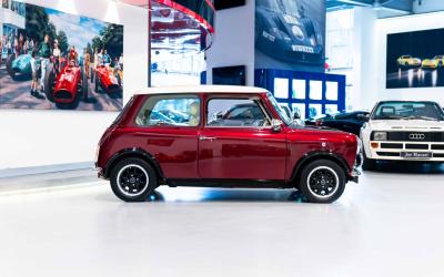 2021 David Brown Mini