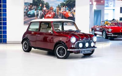 2021 David Brown Mini