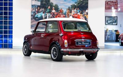 2021 David Brown Mini