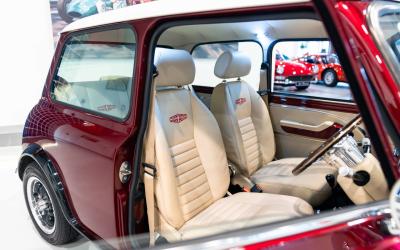 2021 David Brown Mini