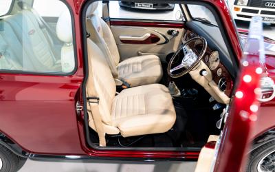 2021 David Brown Mini