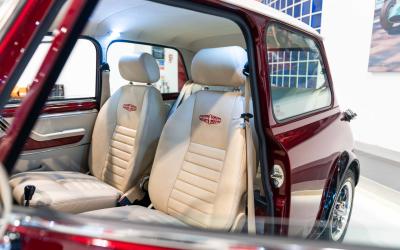 2021 David Brown Mini